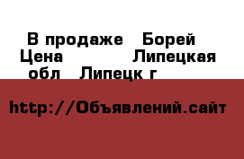 В продаже - Борей › Цена ­ 2 695 - Липецкая обл., Липецк г.  »    